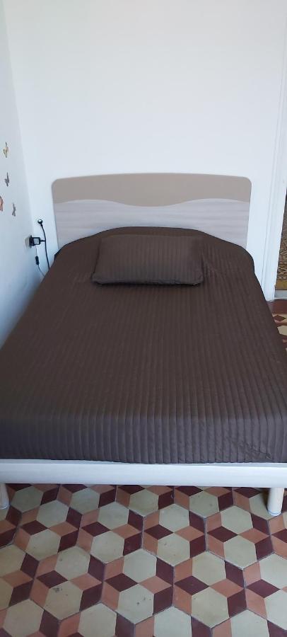 Arena Alfieri B&B 리보르노 외부 사진